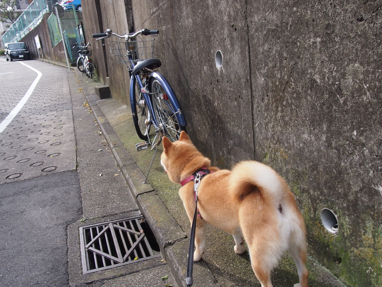 爱游戏体育-11分逆转！落选秀霍勒迪统治末节，火箭三杀太阳展露韧性