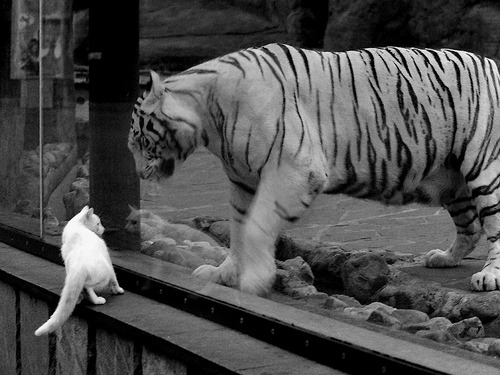 爱游戏下载-1.绝境重生，哥伦比亚史诗逆转，终结英格兰欧冠半决赛梦魇