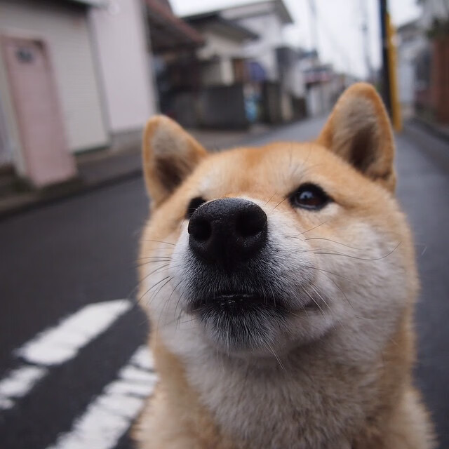 国际友谊赛爆冷，山西队主场稳稳拿下骑士，切特关键回合显神威