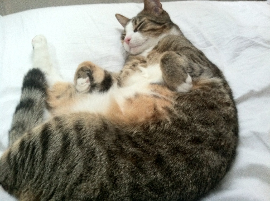 风暴眼的独舞，英格拉姆一节的攻防统治与鹈鹕的单节杀死艺术