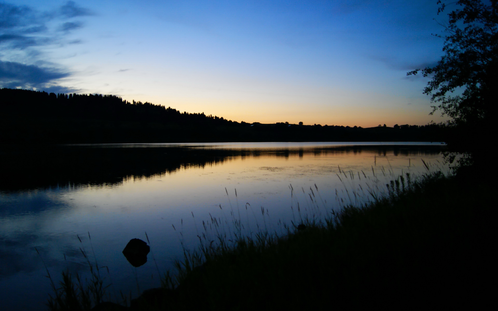 爱游戏官方-绝对统治！灰熊哑火见证新国王降临，福克斯末节17分率队华丽压制