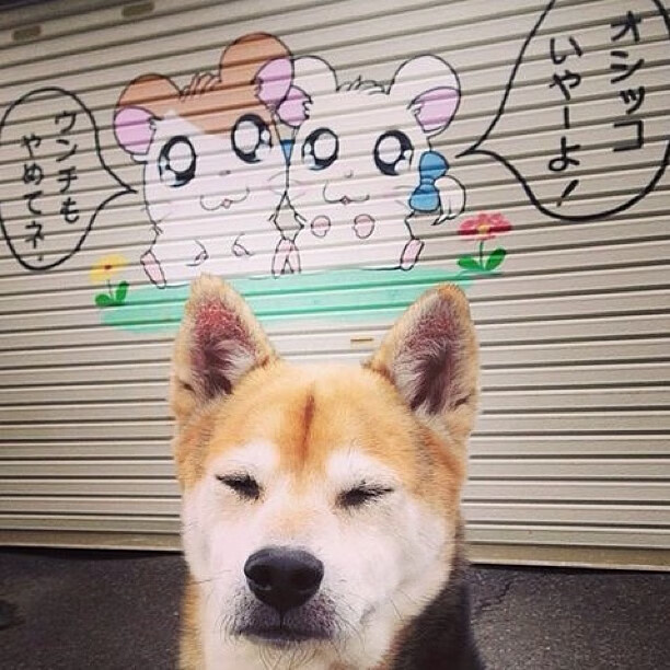 爱游戏官方-量子纠缠的体育场，当约基奇在德甲决赛接管比赛，太阳掀翻灰熊