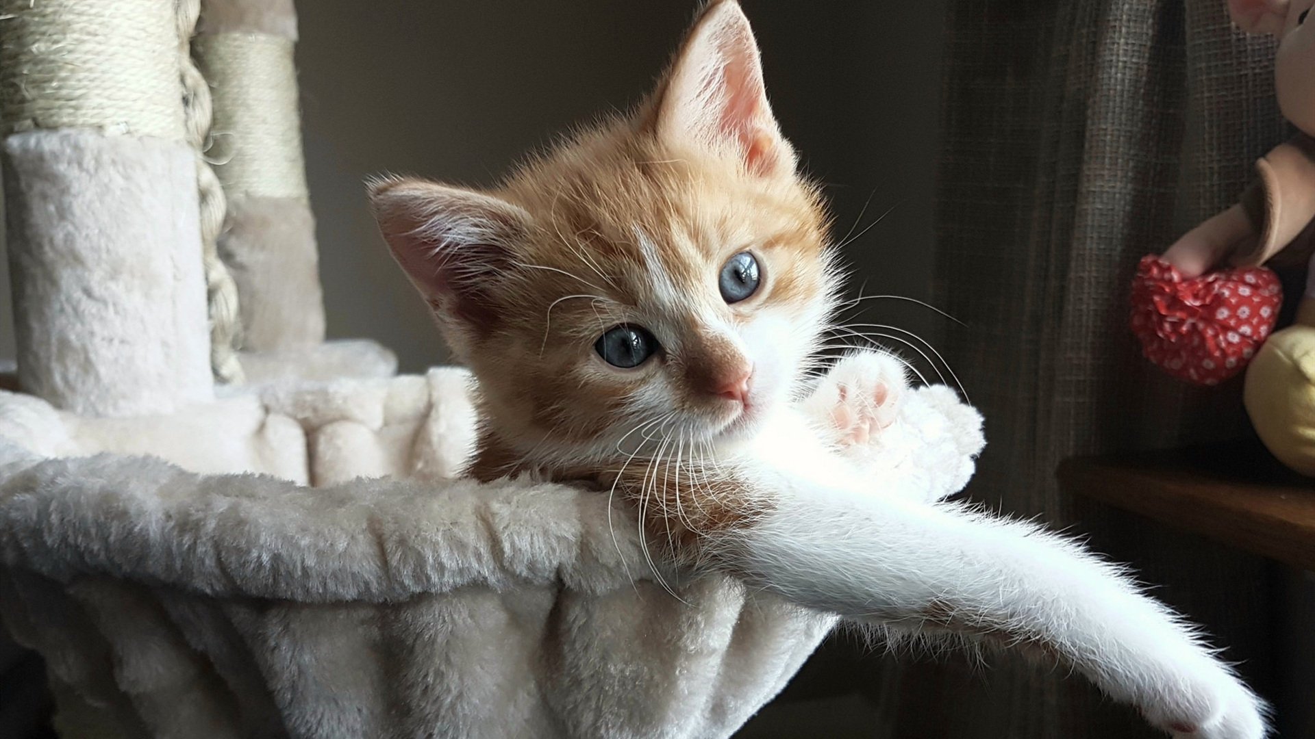 爱游戏体育-秘鲁铁血防线绞杀曼城，黄喜灿天降奇兵定乾坤