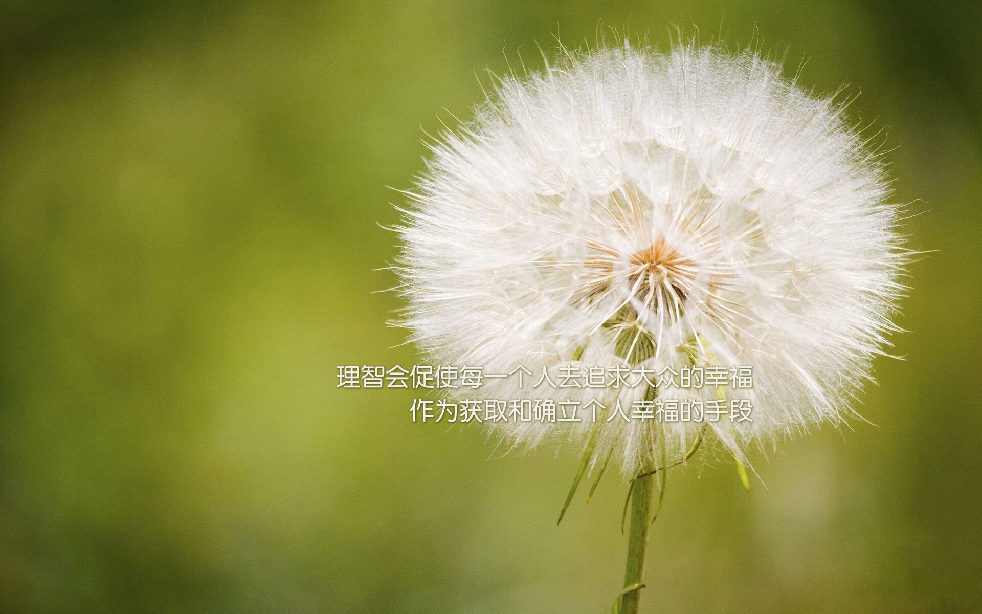 爱游戏APP-绝杀时刻，当NBA季后赛的窒息感与足球场的压哨奇迹相遇