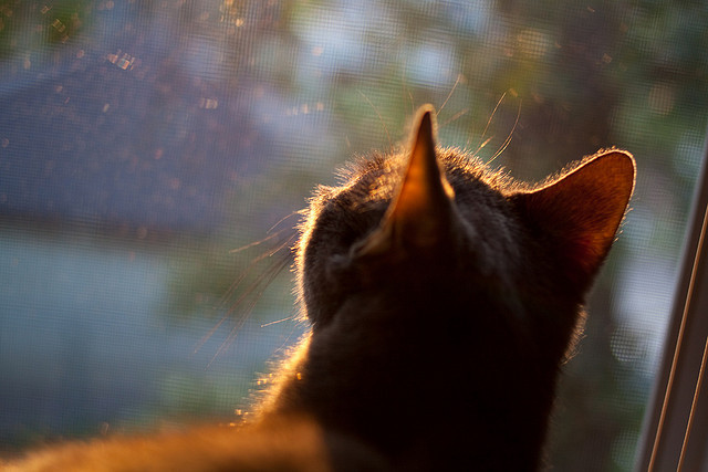 库里最后时刻接管比赛！篮网疯狂火力撕裂太阳防线
