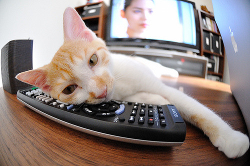 手术刀与标尺，保罗如何用两种不同的方式统治一场比赛