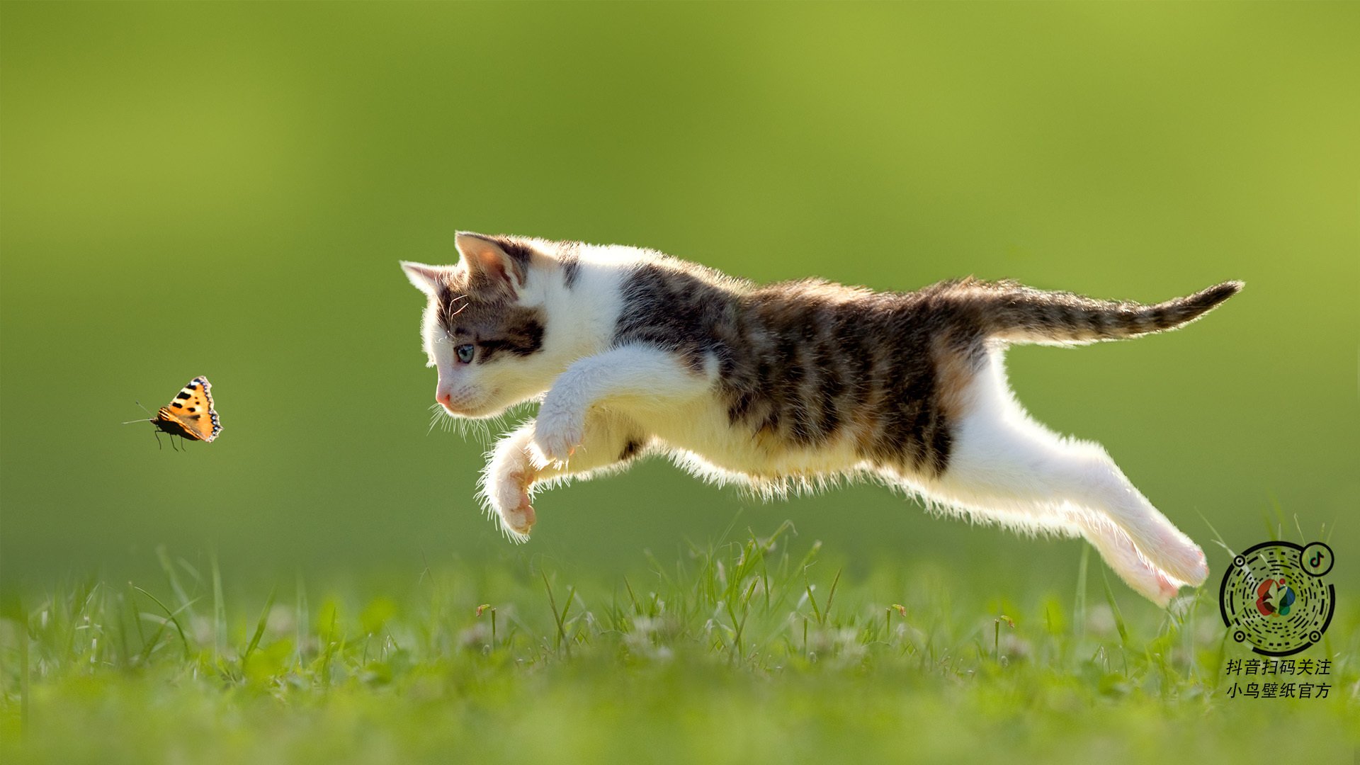 爱游戏APP-沉默中爆发的武切维奇，与喧嚣中碾压的雄鹿