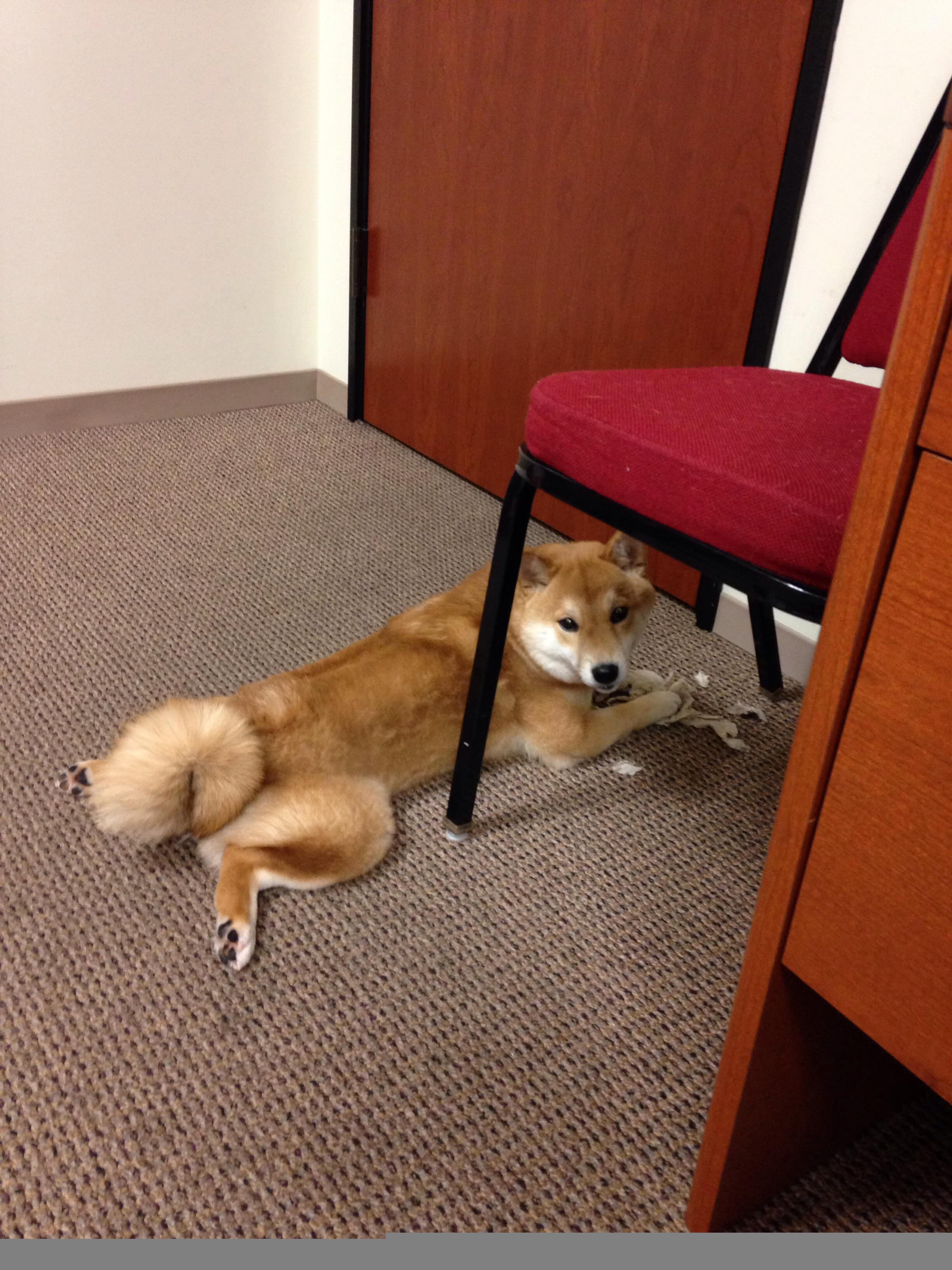 西甲国家德比焦点战，莱比锡红牛提前终结悬念乌克兰