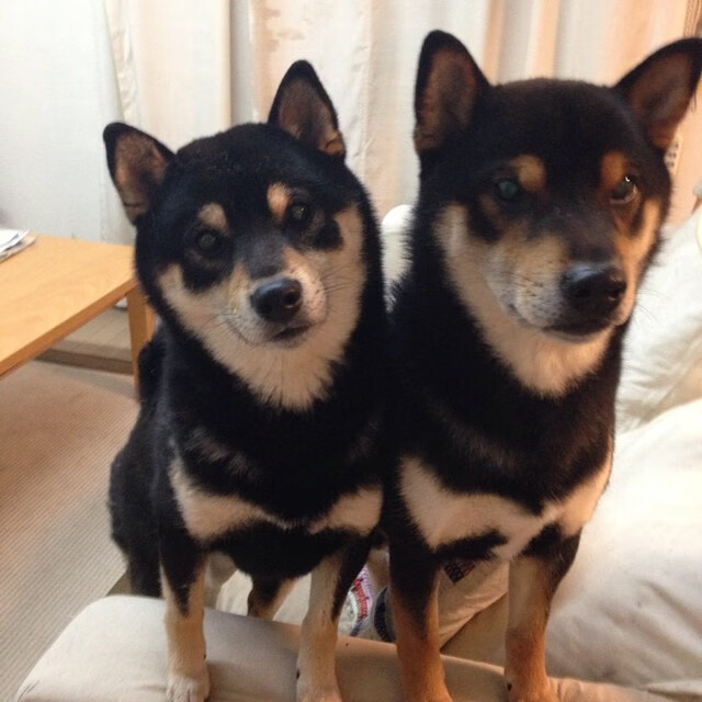 爱游戏下载-利拉德轰下42+12关键时刻一锤定音，骑士铁骑强势提前终结篮网悬念