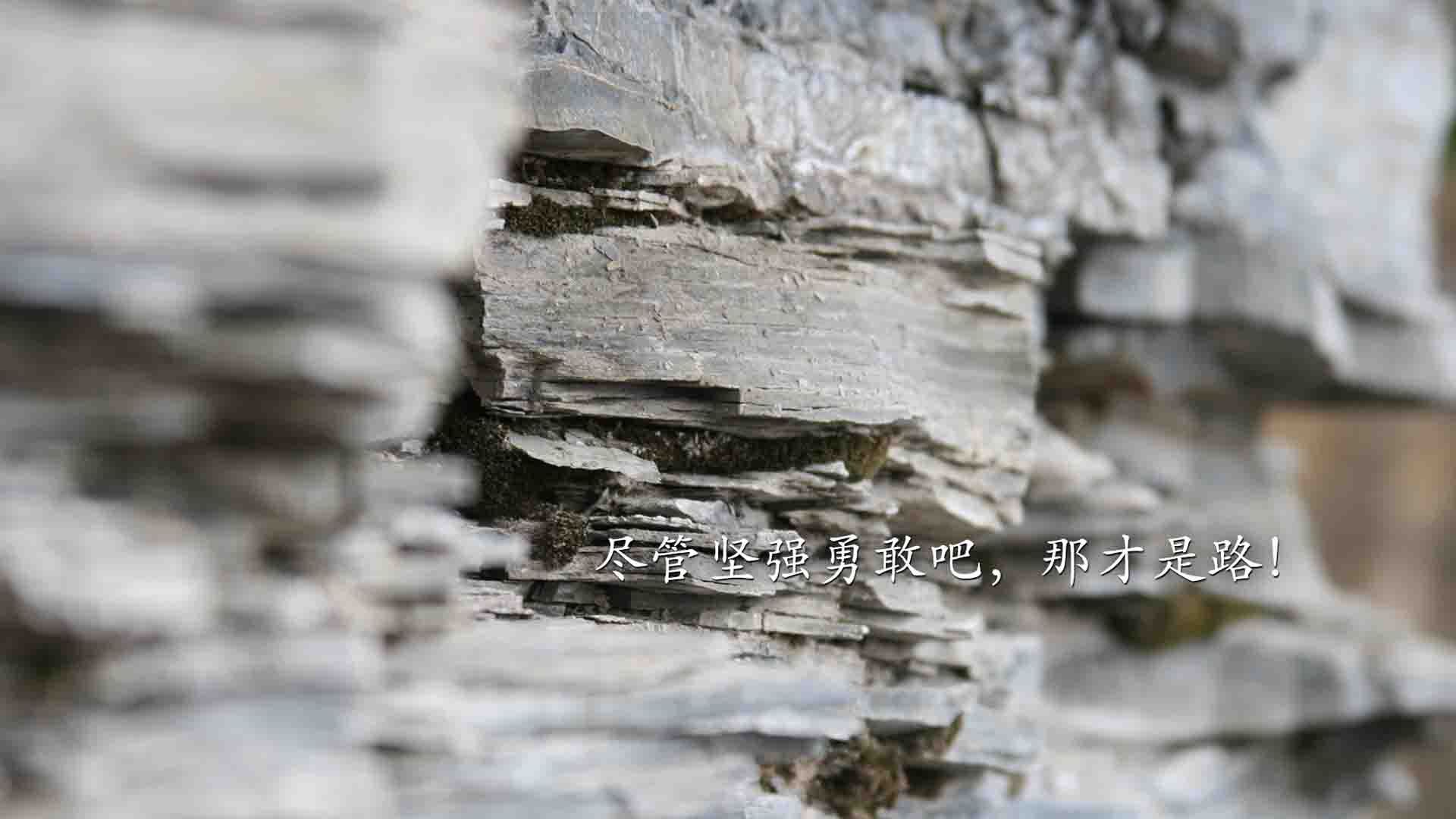 爱游戏官方-2026世界杯生死战，喀麦隆的钢铁防线与哈兰德的北欧利刃—一场改写命运的唯一对决